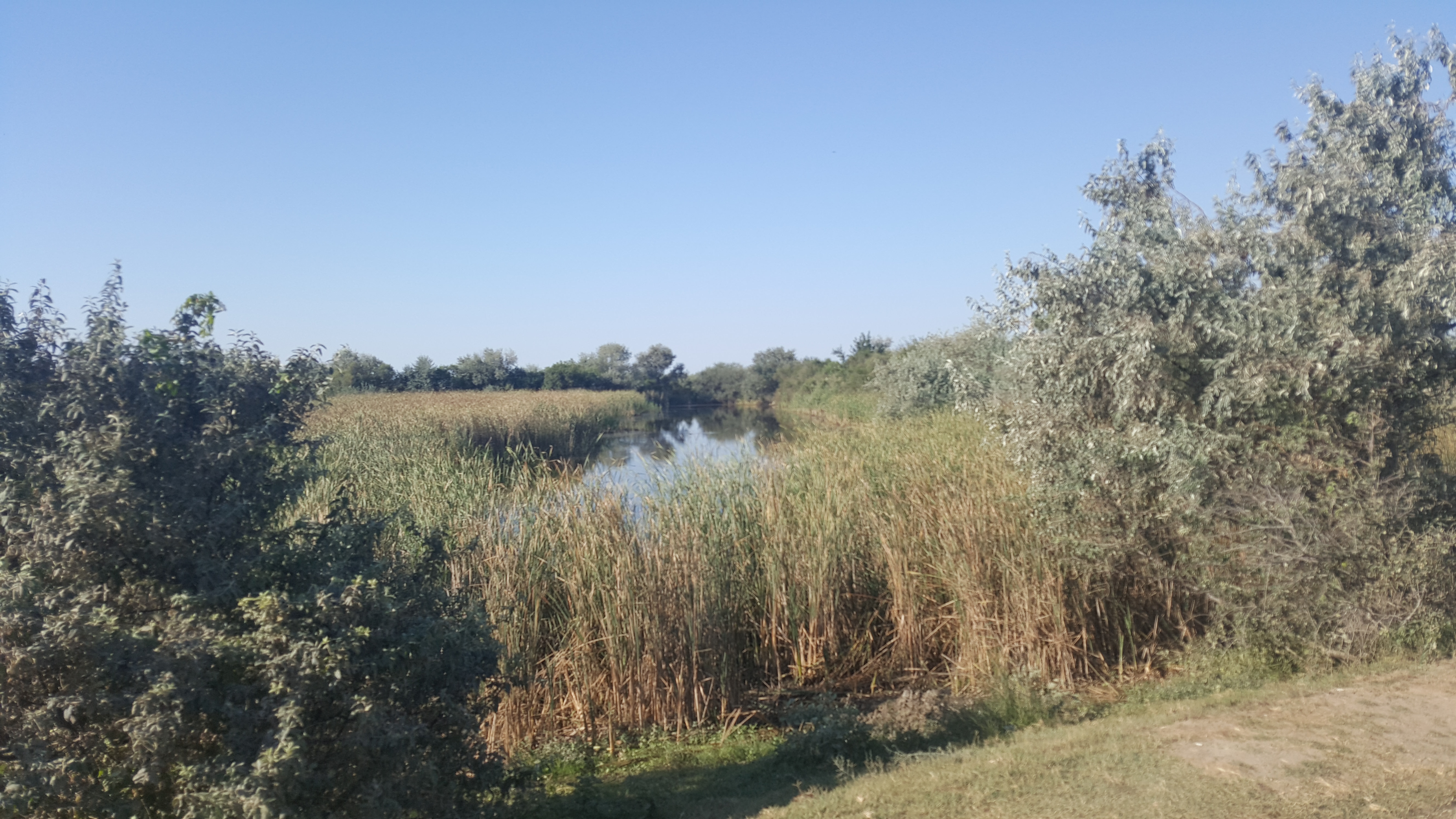 Canal in Delta Dunarii